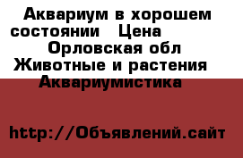 Аквариум в хорошем состоянии › Цена ­ 2 000 - Орловская обл. Животные и растения » Аквариумистика   